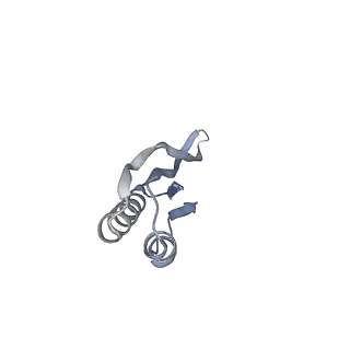 16605_8cec_R_v1-4
Rnase R bound to a 30S degradation intermediate (State I - head-turning)