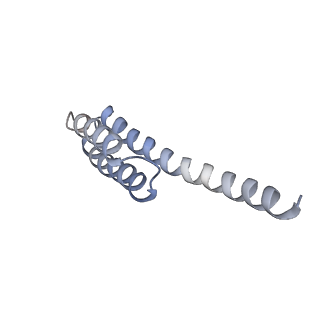 16605_8cec_S_v1-4
Rnase R bound to a 30S degradation intermediate (State I - head-turning)