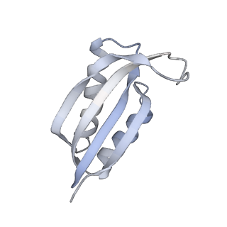 16605_8cec_T_v1-0
Rnase R bound to a 30S degradation intermediate (State I - head-turning)