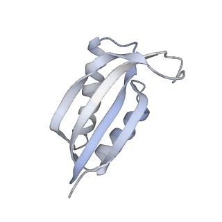 16605_8cec_T_v1-4
Rnase R bound to a 30S degradation intermediate (State I - head-turning)