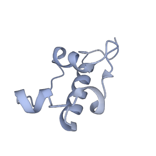 16605_8cec_U_v1-4
Rnase R bound to a 30S degradation intermediate (State I - head-turning)