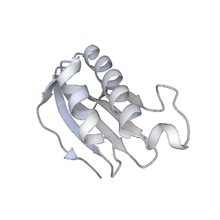 16605_8cec_V_v1-4
Rnase R bound to a 30S degradation intermediate (State I - head-turning)