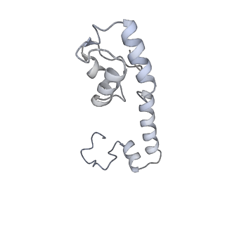 16605_8cec_X_v1-0
Rnase R bound to a 30S degradation intermediate (State I - head-turning)