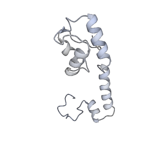 16605_8cec_X_v1-4
Rnase R bound to a 30S degradation intermediate (State I - head-turning)