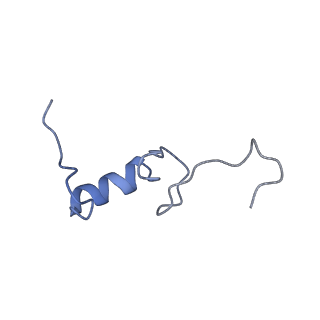 16605_8cec_Y_v1-0
Rnase R bound to a 30S degradation intermediate (State I - head-turning)
