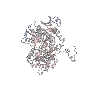 16611_8ceo_7_v1-1
Yeast RNA polymerase II transcription pre-initiation complex with core Mediator and the +1 nucleosome