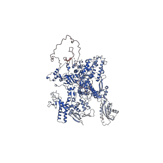16611_8ceo_A_v1-1
Yeast RNA polymerase II transcription pre-initiation complex with core Mediator and the +1 nucleosome