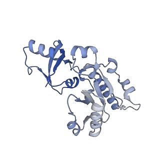 16611_8ceo_E_v1-1
Yeast RNA polymerase II transcription pre-initiation complex with core Mediator and the +1 nucleosome