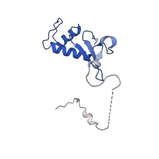 16611_8ceo_F_v1-1
Yeast RNA polymerase II transcription pre-initiation complex with core Mediator and the +1 nucleosome