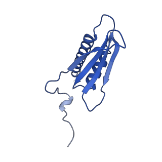 16611_8ceo_K_v1-1
Yeast RNA polymerase II transcription pre-initiation complex with core Mediator and the +1 nucleosome