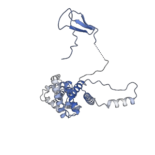 16611_8ceo_M_v1-1
Yeast RNA polymerase II transcription pre-initiation complex with core Mediator and the +1 nucleosome