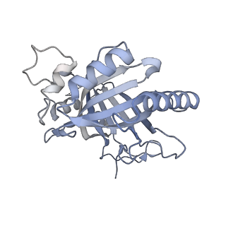 16611_8ceo_e_v1-1
Yeast RNA polymerase II transcription pre-initiation complex with core Mediator and the +1 nucleosome