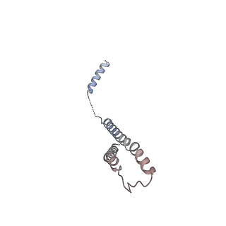 16611_8ceo_g_v1-1
Yeast RNA polymerase II transcription pre-initiation complex with core Mediator and the +1 nucleosome