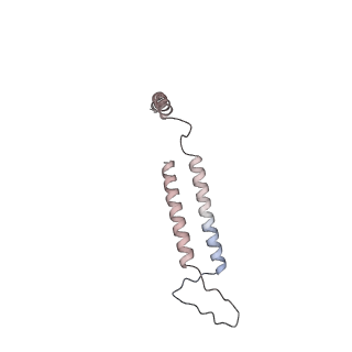 16611_8ceo_n_v1-1
Yeast RNA polymerase II transcription pre-initiation complex with core Mediator and the +1 nucleosome
