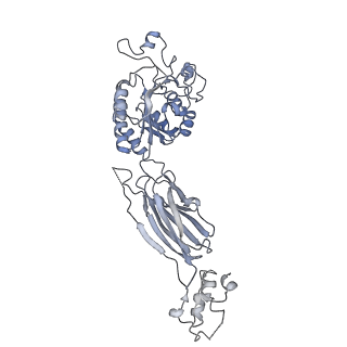 30342_7cec_B_v1-2
Structure of alpha6beta1 integrin in complex with laminin-511
