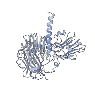 30342_7cec_C_v1-2
Structure of alpha6beta1 integrin in complex with laminin-511