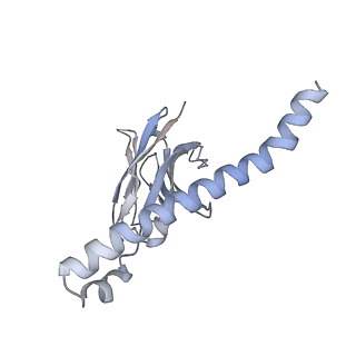 30342_7cec_F_v1-2
Structure of alpha6beta1 integrin in complex with laminin-511