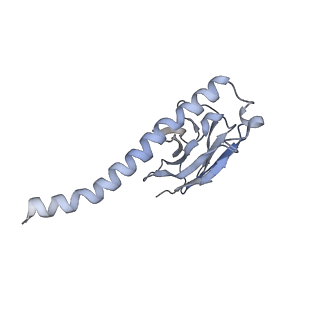 30342_7cec_G_v1-2
Structure of alpha6beta1 integrin in complex with laminin-511
