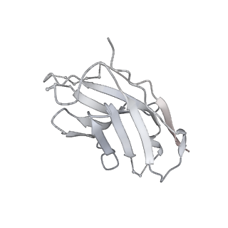 30342_7cec_H_v1-2
Structure of alpha6beta1 integrin in complex with laminin-511