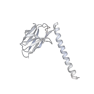 30342_7cec_I_v1-2
Structure of alpha6beta1 integrin in complex with laminin-511