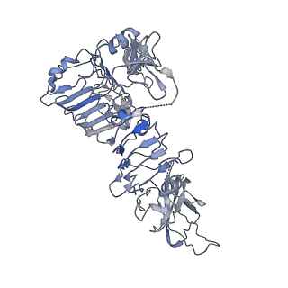 7462_6ce9_A_v1-3
Insulin Receptor ectodomain in complex with two insulin molecules