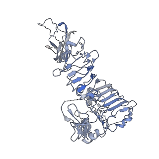 7462_6ce9_B_v1-3
Insulin Receptor ectodomain in complex with two insulin molecules