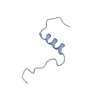 7462_6ce9_L_v1-3
Insulin Receptor ectodomain in complex with two insulin molecules