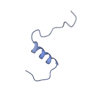 7462_6ce9_O_v1-3
Insulin Receptor ectodomain in complex with two insulin molecules