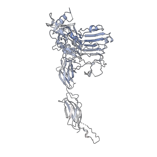 7463_6ceb_A_v1-3
Insulin Receptor ectodomain in complex with two insulin molecules - C1 symmetry