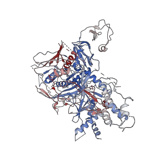 7464_6ces_D_v1-8
Cryo-EM structure of GATOR1-RAG