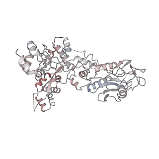 7464_6ces_M_v1-8
Cryo-EM structure of GATOR1-RAG