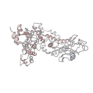 7465_6cet_M_v1-7
Cryo-EM structure of GATOR1