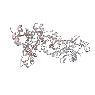 7465_6cet_M_v1-8
Cryo-EM structure of GATOR1