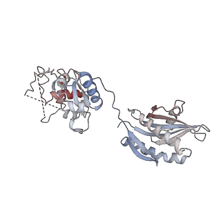 7465_6cet_N_v1-8
Cryo-EM structure of GATOR1