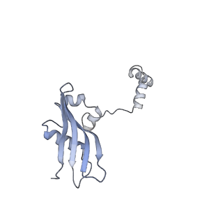 16616_8cf5_0_v1-7
Translocation intermediate 1 (TI-1) of 80S S. cerevisiae ribosome with ligands and eEF2 in the presence of sordarin