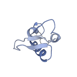 16616_8cf5_1_v1-7
Translocation intermediate 1 (TI-1) of 80S S. cerevisiae ribosome with ligands and eEF2 in the presence of sordarin