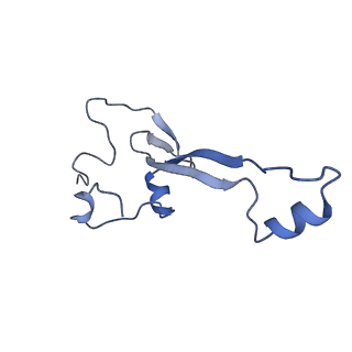 16616_8cf5_2_v1-7
Translocation intermediate 1 (TI-1) of 80S S. cerevisiae ribosome with ligands and eEF2 in the presence of sordarin