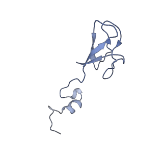 16616_8cf5_3_v1-7
Translocation intermediate 1 (TI-1) of 80S S. cerevisiae ribosome with ligands and eEF2 in the presence of sordarin