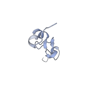 16616_8cf5_5_v1-7
Translocation intermediate 1 (TI-1) of 80S S. cerevisiae ribosome with ligands and eEF2 in the presence of sordarin