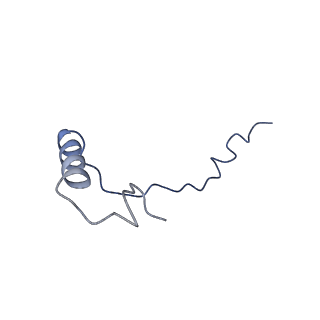 16616_8cf5_6_v1-7
Translocation intermediate 1 (TI-1) of 80S S. cerevisiae ribosome with ligands and eEF2 in the presence of sordarin