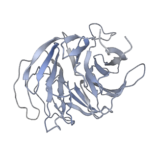 16616_8cf5_7_v1-7
Translocation intermediate 1 (TI-1) of 80S S. cerevisiae ribosome with ligands and eEF2 in the presence of sordarin