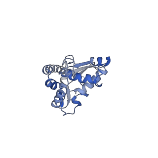 16616_8cf5_A_v1-6
Translocation intermediate 1 (TI-1) of 80S S. cerevisiae ribosome with ligands and eEF2 in the presence of sordarin