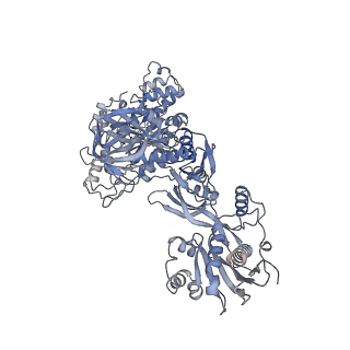 16616_8cf5_Aa_v1-6
Translocation intermediate 1 (TI-1) of 80S S. cerevisiae ribosome with ligands and eEF2 in the presence of sordarin