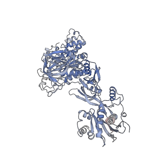 16616_8cf5_Aa_v1-7
Translocation intermediate 1 (TI-1) of 80S S. cerevisiae ribosome with ligands and eEF2 in the presence of sordarin