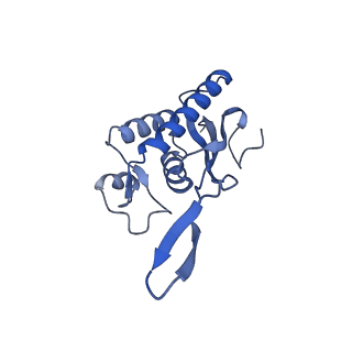 16616_8cf5_B_v1-6
Translocation intermediate 1 (TI-1) of 80S S. cerevisiae ribosome with ligands and eEF2 in the presence of sordarin
