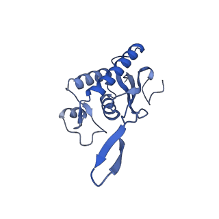 16616_8cf5_B_v1-7
Translocation intermediate 1 (TI-1) of 80S S. cerevisiae ribosome with ligands and eEF2 in the presence of sordarin