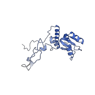 16616_8cf5_C_v1-6
Translocation intermediate 1 (TI-1) of 80S S. cerevisiae ribosome with ligands and eEF2 in the presence of sordarin