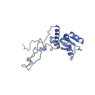 16616_8cf5_C_v1-7
Translocation intermediate 1 (TI-1) of 80S S. cerevisiae ribosome with ligands and eEF2 in the presence of sordarin