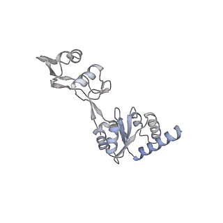 16616_8cf5_DD_v1-6
Translocation intermediate 1 (TI-1) of 80S S. cerevisiae ribosome with ligands and eEF2 in the presence of sordarin