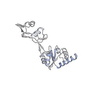 16616_8cf5_DD_v1-7
Translocation intermediate 1 (TI-1) of 80S S. cerevisiae ribosome with ligands and eEF2 in the presence of sordarin